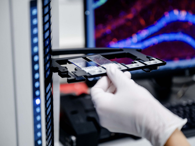 Ein Student legt Proben in ein medizinisches Gerät