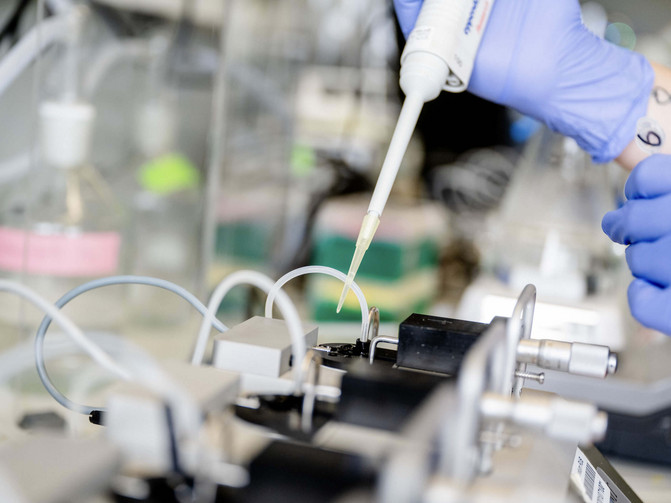 Ein Student forscht an einem medizinischen Gerät