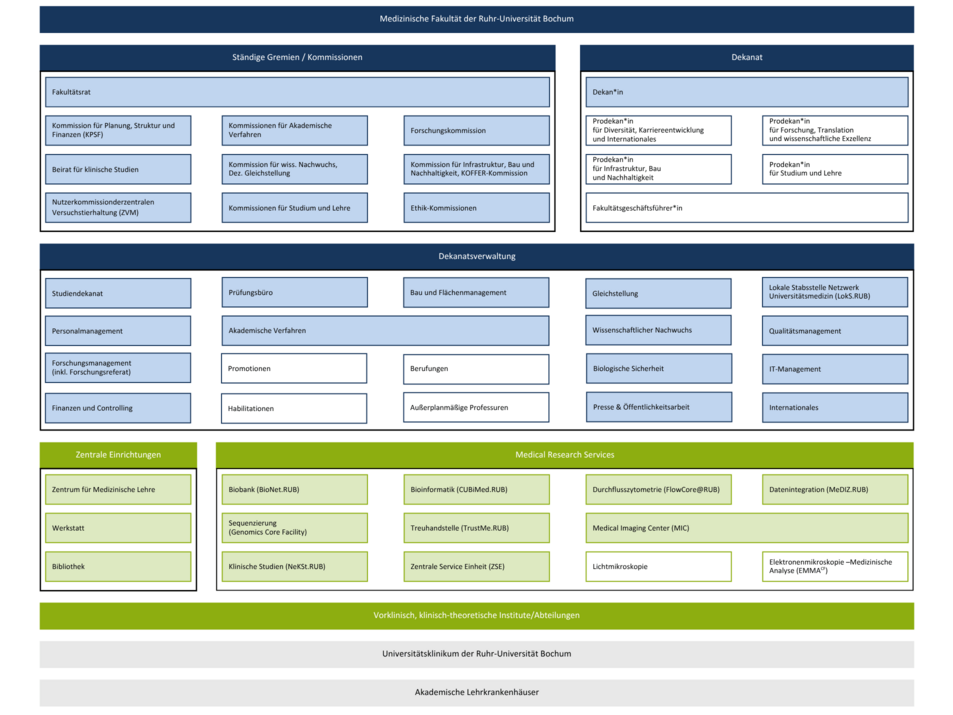 Organigramm der Medizinischen Fakultät mit Darstellung der Organisationsstruktur und Verlinkungen zu den jeweiligen Einrichtungen
