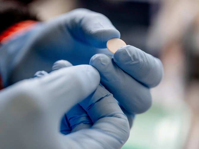 Eine Person mit blauen Laborhandschuhen hält ein kleines rundes Plättchen für ein Zellkulturmodell zur Erforschung des Knochenstoffwechsels.