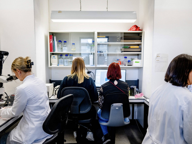 Studentierende der medizinischen Fakultät der Ruhr Universität Bochum schauen sich Daten an Mikroskopen und Computern an