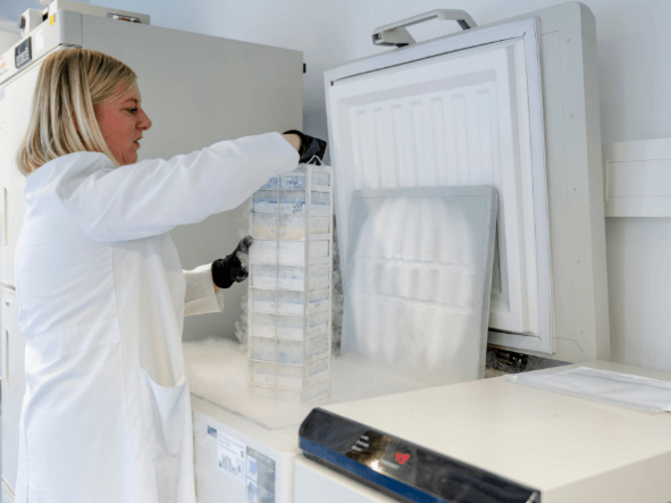 Britta Majchrzak-Stiller holt die gefrorenen Zellen aus der Kühlung, aus denen Organoide wachsen können.