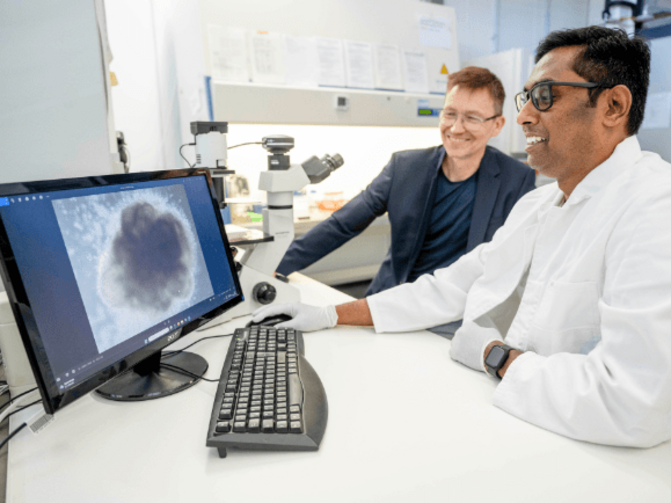 Prof. Dr. Holm Zähres (left) and Dr. Karthik Divvela examine a muscle organoid that has grown as a spherical aggregate.