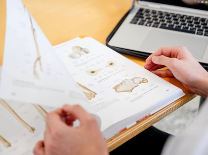 Eine Person liest in einem Fachbuch