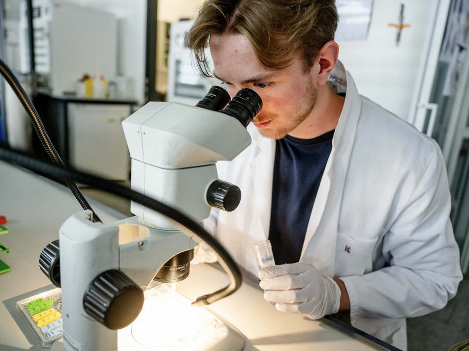 Student der medizinischen Fakultät der Ruhr Universität Bochum forscht an einem Mikroskop