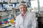 Prof. Dr. Ralf Erdmann in seinem Labor am Institut für Biochemie und Pathobiochemie der RUB